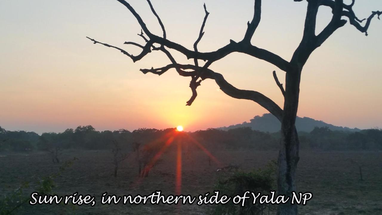 Апартаменты Yala Avian Eye Safari Buttala Экстерьер фото